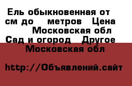 Ель обыкновенная от 50 см до 15 метров › Цена ­ 350 - Московская обл. Сад и огород » Другое   . Московская обл.